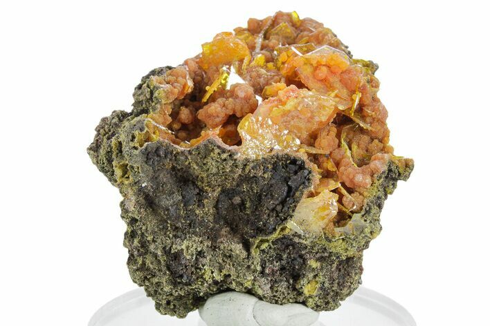Botryoidal Orange Mimetite on Windowpane Wulfenite - Mexico #348010